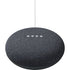 Google Nest Mini